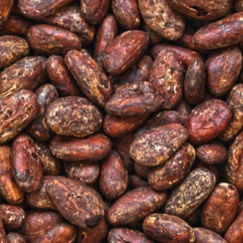 India’s Best Chocolate (Vegan) in 2022