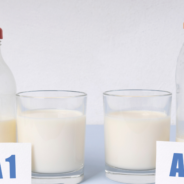 a2 milk, a1 milk