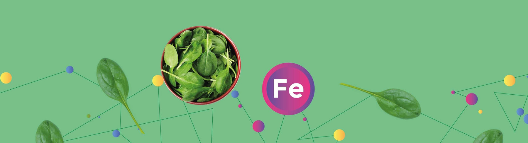 (Indian) Vegan Foods Loaded in Iron - Nourish You