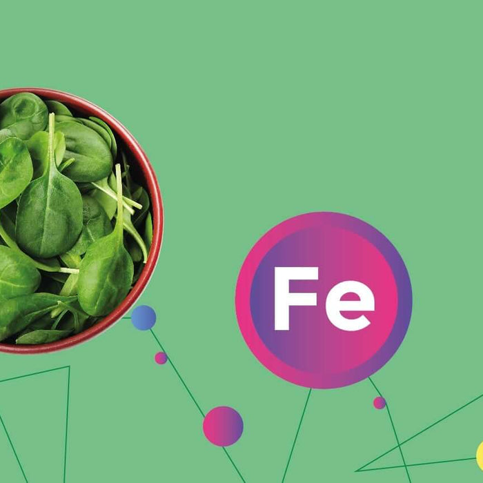(Indian) Vegan Foods Loaded in Iron - Nourish You