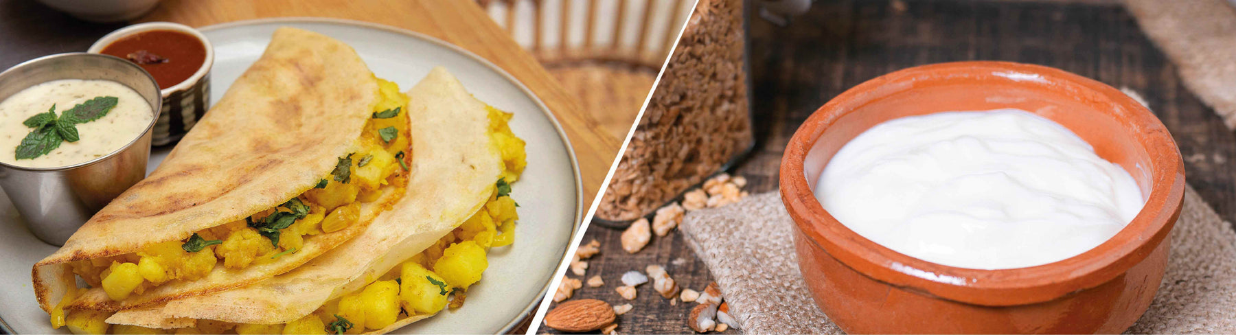 Should vegetarians go vegan? | One Good India - Nourish You
