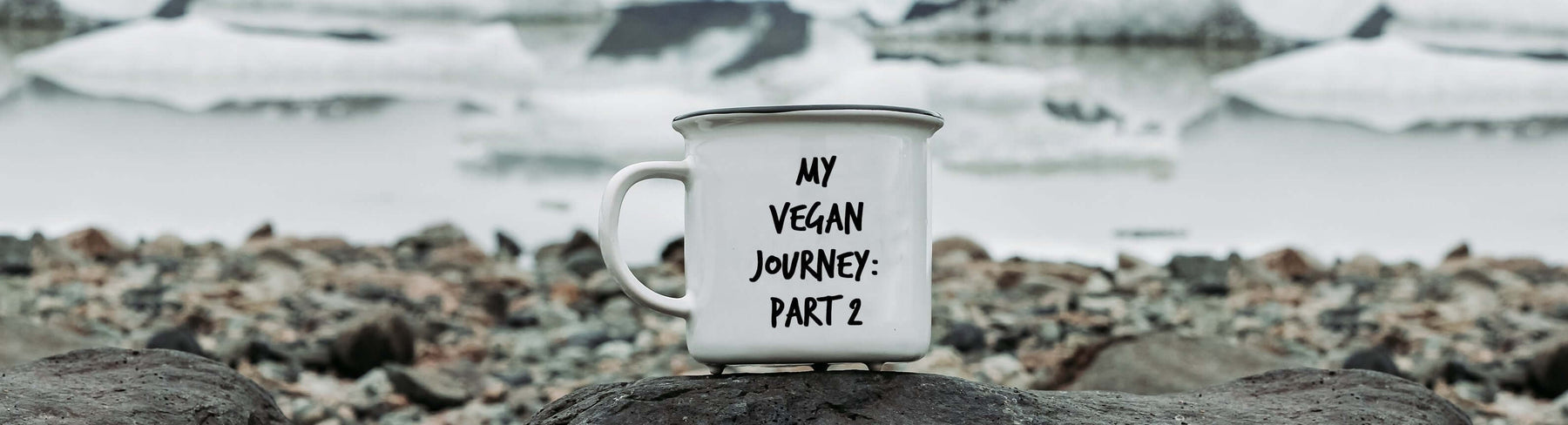 How to Become a Vegan- My Journey Part 2 - Nourish You