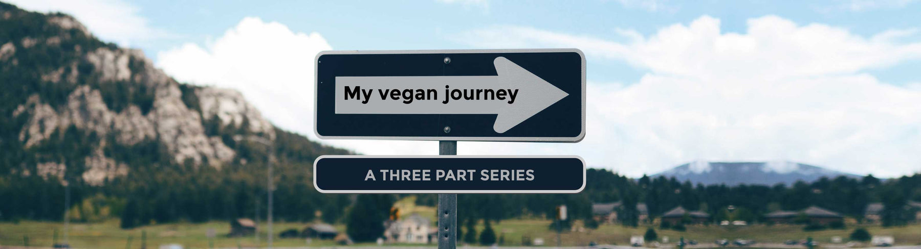 How to Become a Vegan- My Journey Part 1 - Nourish You