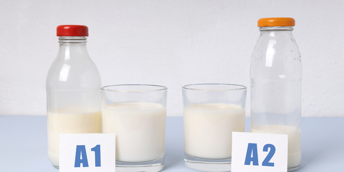 A1 vs A2 milk & the rise of vegan milk in India - Nourish You