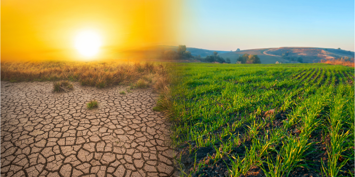 How climate change is affecting India and our world - Nourish You
