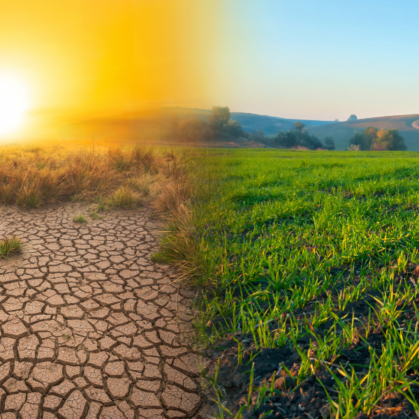 climate change
