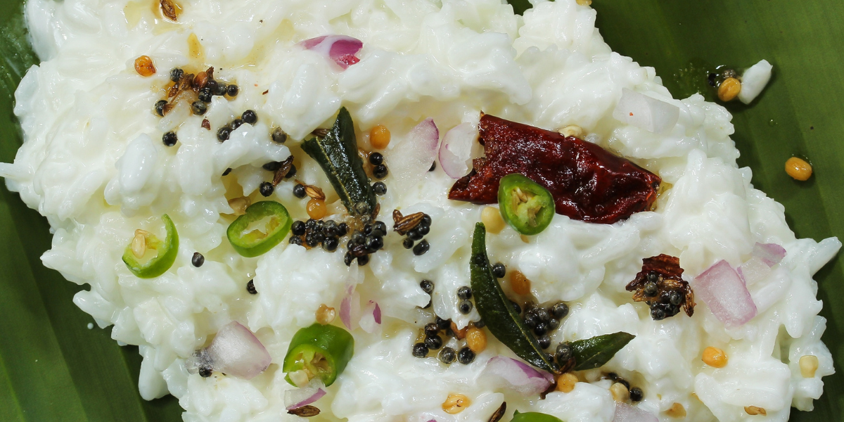 How to make vegan curd rice | South Indian recipe - Nourish You