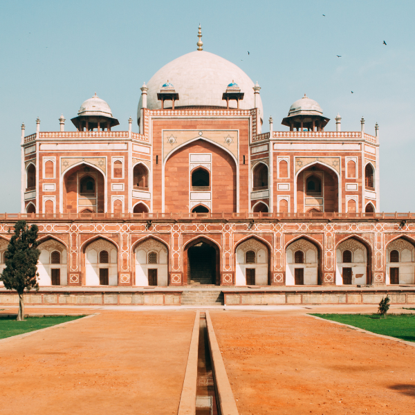 8 VEGAN restaurants & vegan options to try in New Delhi - Nourish You
