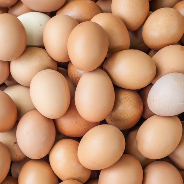 Are eggs veg or non-veg? - Nourish You