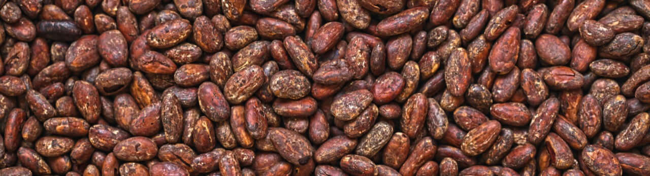 India’s Best Chocolate (Vegan) in 2022 - Nourish You