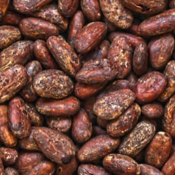India’s Best Chocolate (Vegan) in 2022 - Nourish You