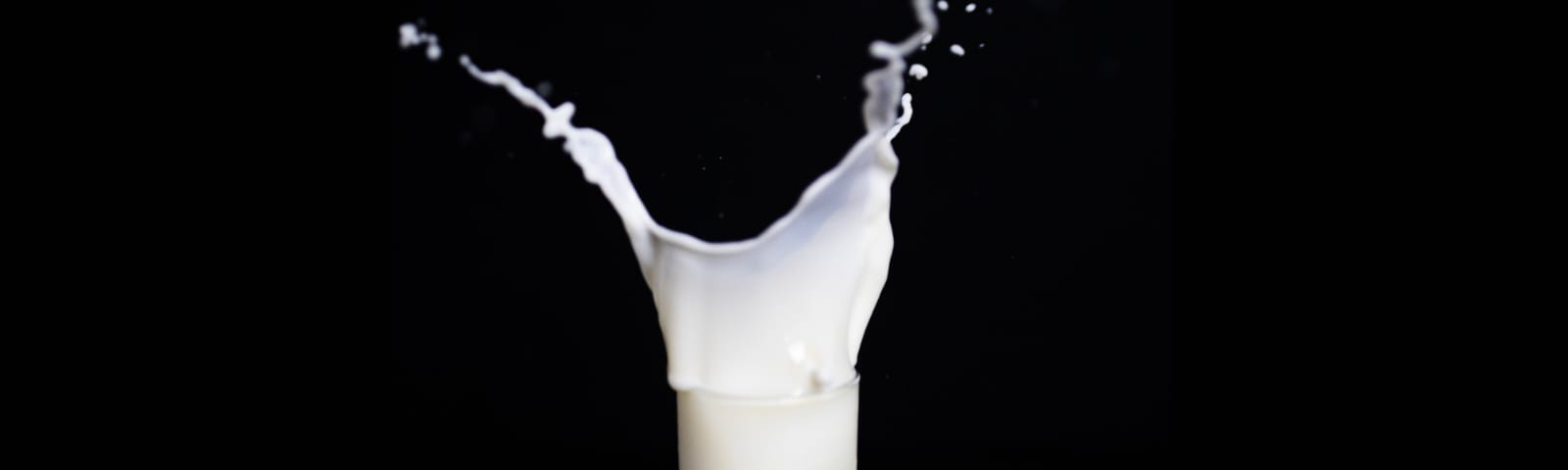 JUST LAUNCHED: vegan mylk @59/- INR per LITRE | Indiranagar - Nourish You