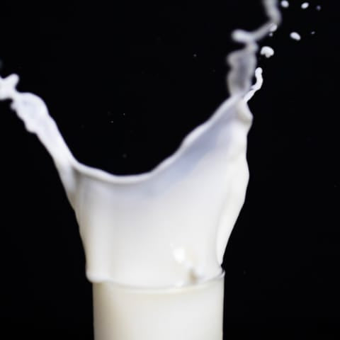 JUST LAUNCHED: vegan mylk @59/- INR per LITRE | Indiranagar - Nourish You