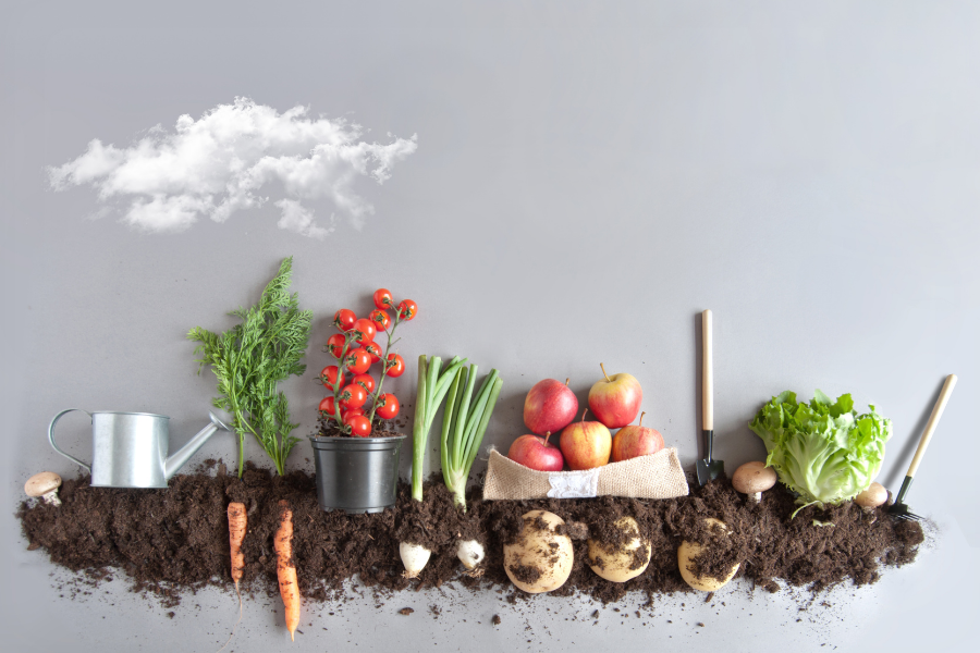  Benefits of Organic Foods