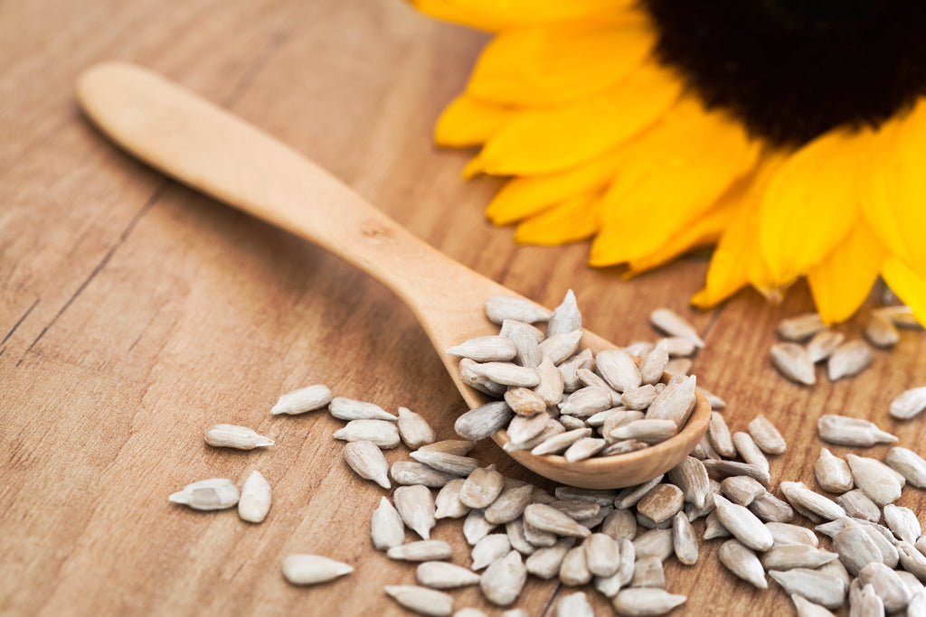 Sunflower Seeds & Health Benefits