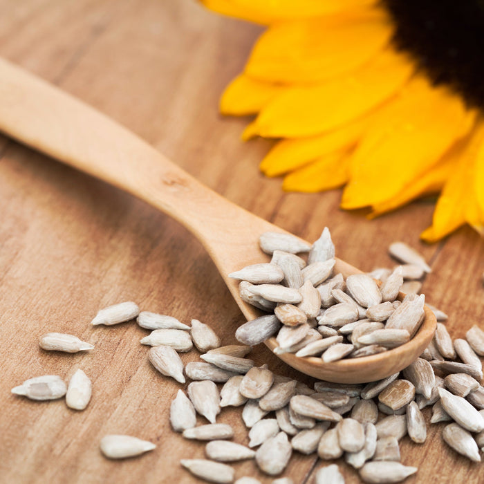 Soul-satisfying sunflower seeds will surely make your health shine! - Nourish You