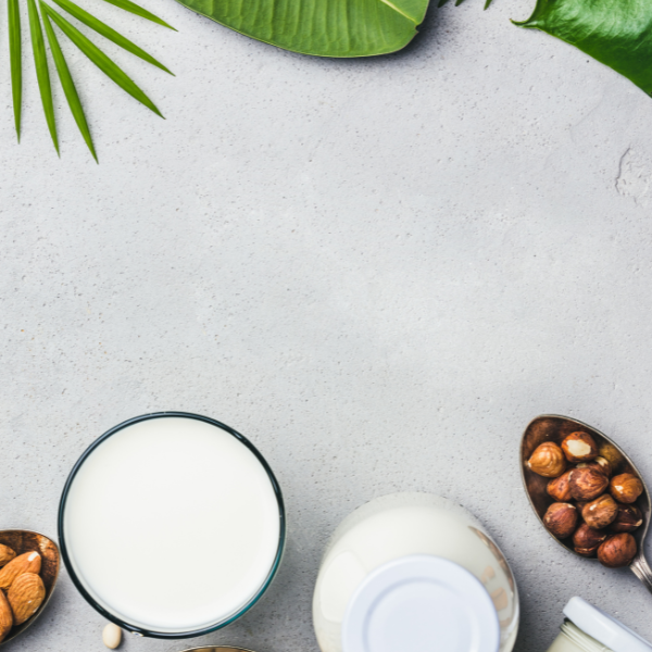 What does it mean to be vegan? | One Good India - Nourish You