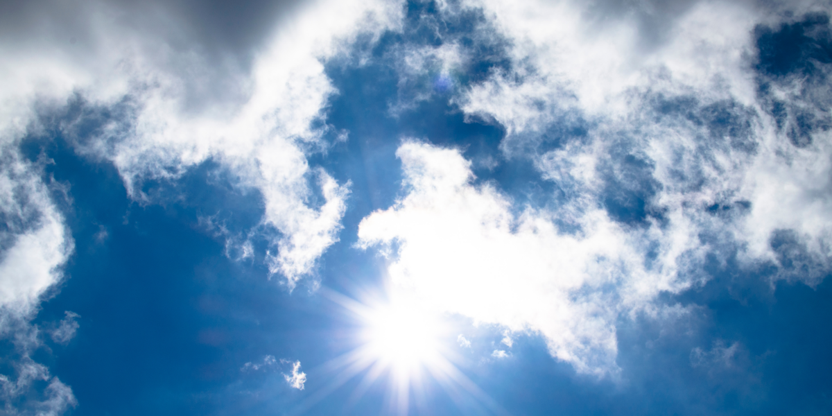 Vitamin D 101 for vegans | How to get it & supplements - Nourish You