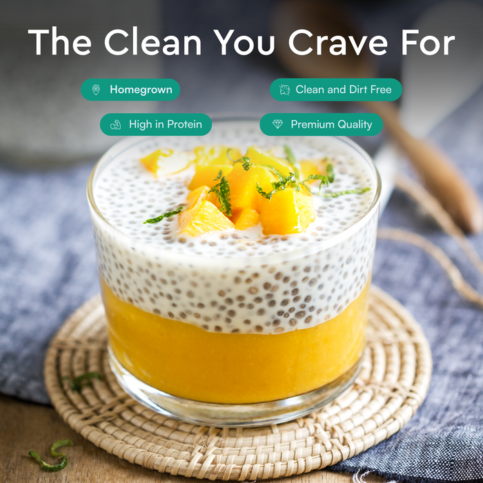 Black chia seeds Superfood Rich in Omega-3 and Fiber