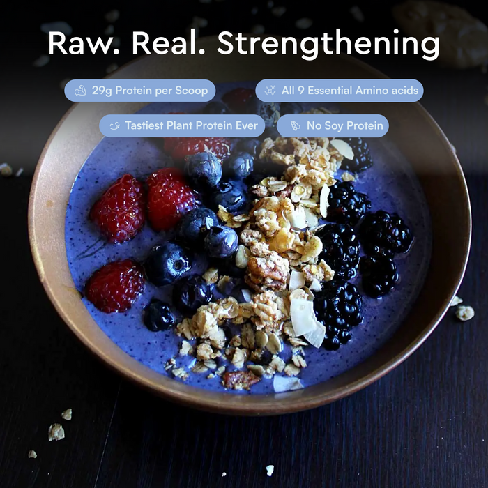 One Good Plant Protein – Vanilla | 500g | 29g Protein | All 9 Essential Amino Acids | Clean Label